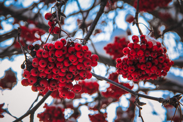 Similar image 21213389