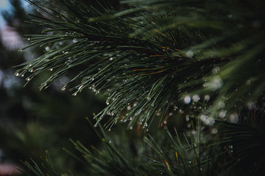 Similar image 21213391