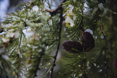 Similar image 21213393