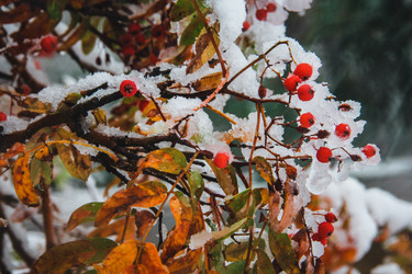 Similar image 21213395