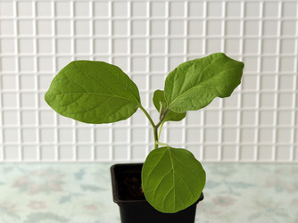 Similar image 21207778