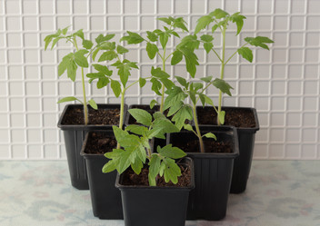 Similar image 21207781