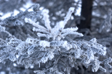 Similar image 21207787