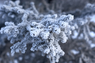 Similar image 21207788