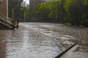 Similar image 21207792