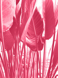 Similar image 21206713