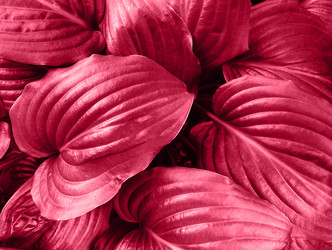 Similar image 21206715