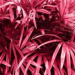 Similar image 21206716