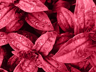 Similar image 21206717