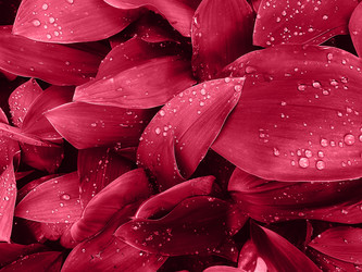 Similar image 21206718