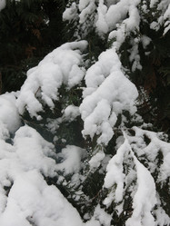 Similar image 21212757