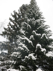 Similar image 21212758