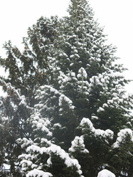 Similar image 21212759