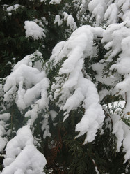 Similar image 21212760