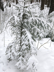 Similar image 21212761