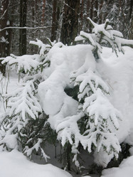 Similar image 21212762