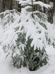 Similar image 21212764