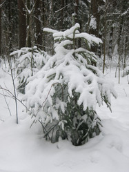 Similar image 21212765