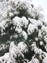 Similar image 21212766