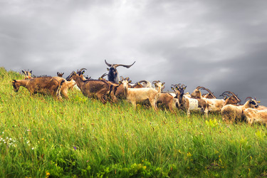 Similar image 21209155