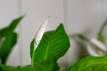 Similar image 21207800