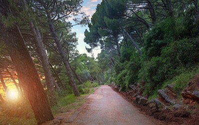 Similar image 21209157