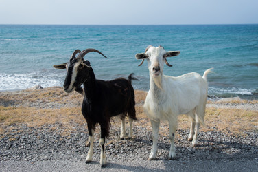 Similar image 21209537