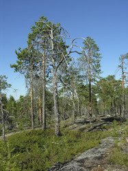 Similar image 21207806