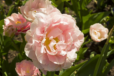 Similar image 21207808