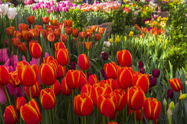 Similar image 21207809