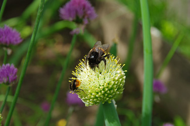 Similar image 21207811