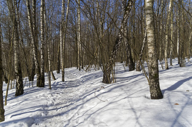 Similar image 21207812