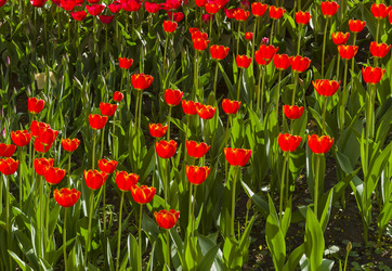 Similar image 21207813