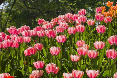 Similar image 21207814