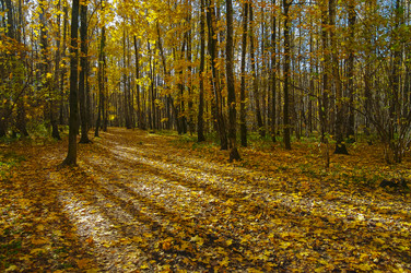 Similar image 21207816