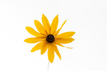 Similar image 21207819