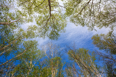 Similar image 21207820