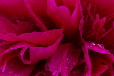 Similar image 21207822