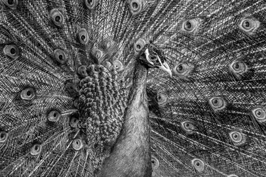 Similar image 21207825