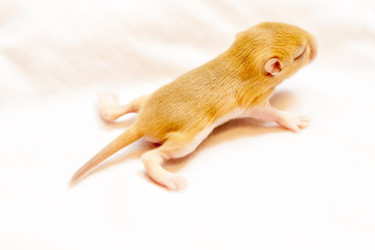 Similar image 21207829