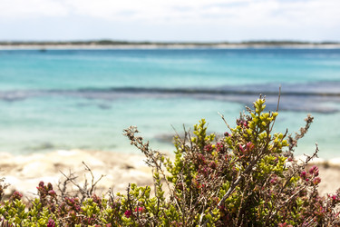 Similar image 21207836