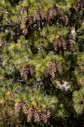 Similar image 21207841