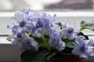 Similar image 21214899