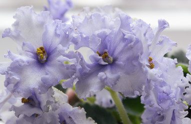 Similar image 21214900