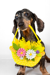 Similar image 21207868