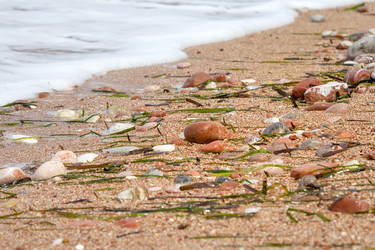 Similar image 21209162