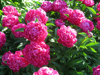 Similar image 21212767