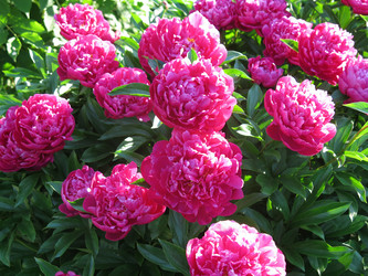 Similar image 21212768