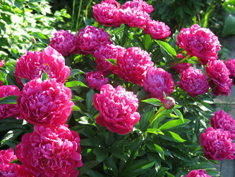 Similar image 21212769