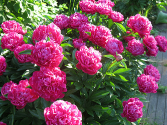 Similar image 21212770